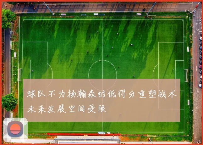 球队不为杨瀚森的低得分重塑战术未来发展空间受限