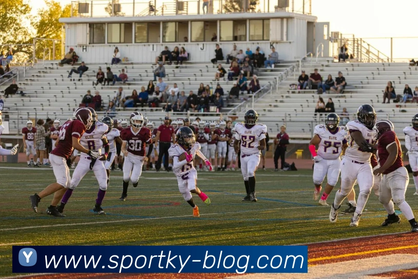 开云体育APP 封面图